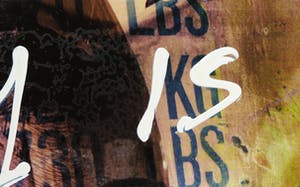 Jack Liemburg - Gemengde techniek op doek, Beauty is only skin deep (Groot) kopen? Bied vanaf 600!