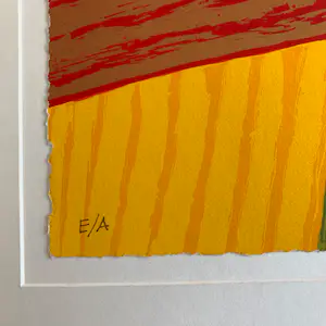 Ronald Boonacker - Tulpenvelden, Holland kopen? Bied vanaf 83!