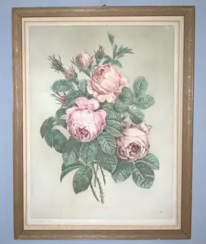 Pierre-Joseph Redoute - litho Rozen kopen? Bied vanaf 35!
