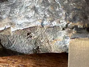 Judith Braun - Zeer fraai vormgegeven sculptuur van vijf mensfiguren die samen een muur vormen kopen? Bied vanaf 100!