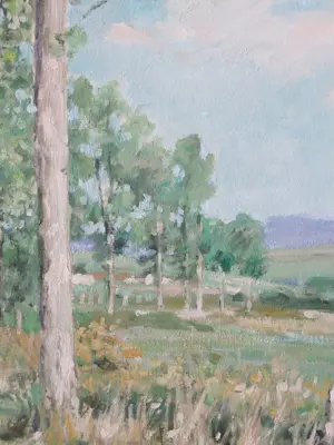 Anneke Boot - Zonnig heidelandschap met bomen kopen? Bied vanaf 180!