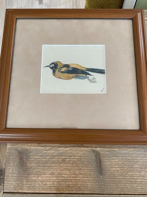 Ids Wiersma - Oranjebuik kopen? Bied vanaf 100!