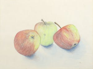 Jaap Does - Potloodtekening, Appels kopen? Bied vanaf 20!