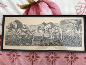 Pieter Dupont - Ploegende paarden kopen? Bied vanaf 125!