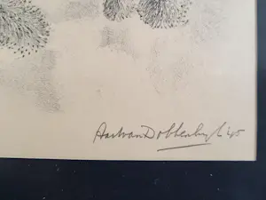 Aart van Dobbenburgh - Appelvink kopen? Bied vanaf 75!