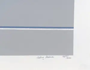 Maurits Van Saene - Marine, gesigneerde lithografie kopen? Bied vanaf 150!