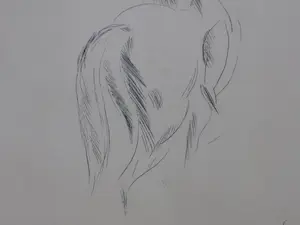 Edwin Scharff - Paard en ruiter - Litho kopen? Bied vanaf 1!