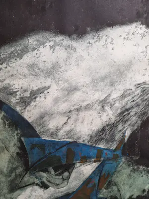 Ru van Rossem - Windsurfing kaufen? Bieten Sie von 95!