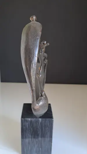 Corry Ammerlaan - Succesvol samenwerken. kopen? Bied vanaf 40!