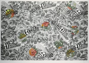 Arjan van Arendonk - Zeefdruk, Re-organisation II - Ingelijst kopen? Bied vanaf 35!