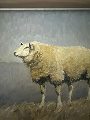 Nel Pot - Schaapje kopen? Bied vanaf 125!