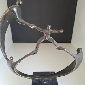 Corry Ammerlaan - Succesvol samenwerken. kopen? Bied vanaf 40!