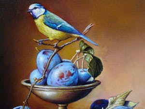 Alfonso Moreno - Schilderij stilleven pimpelmees op pruimen in een schaal. kopen? Bied vanaf 235!