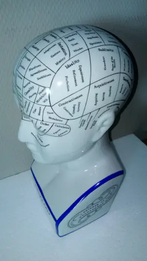 Curiosa - Phrenology hoofd van L.N.Fowler - Porselein kopen? Bied vanaf 50!