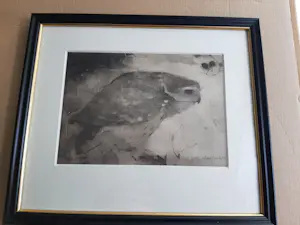 Jan Mankes - Heliogravure " Roofvogeltje op tak " kopen? Bied vanaf 120!