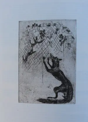 Jeanne Bieruma Oosting - 12 etsen in boek "fabels van la fontaine" (gesigneerd) kopen? Bied vanaf 495!