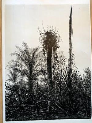 Aat Veldhoen - Afrikaans landschap kopen? Bied vanaf 25!