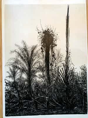 Aat Veldhoen - Afrikaans landschap verkocht voor € 25!