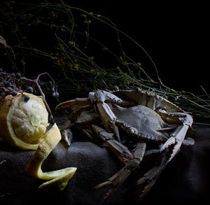 Arnold Mariashin - Fish and Crabs kopen? Bied vanaf 125!