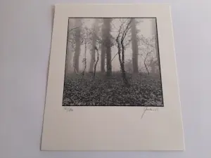 Ralph Janowski - zonder titel kopen? Bied vanaf 25!