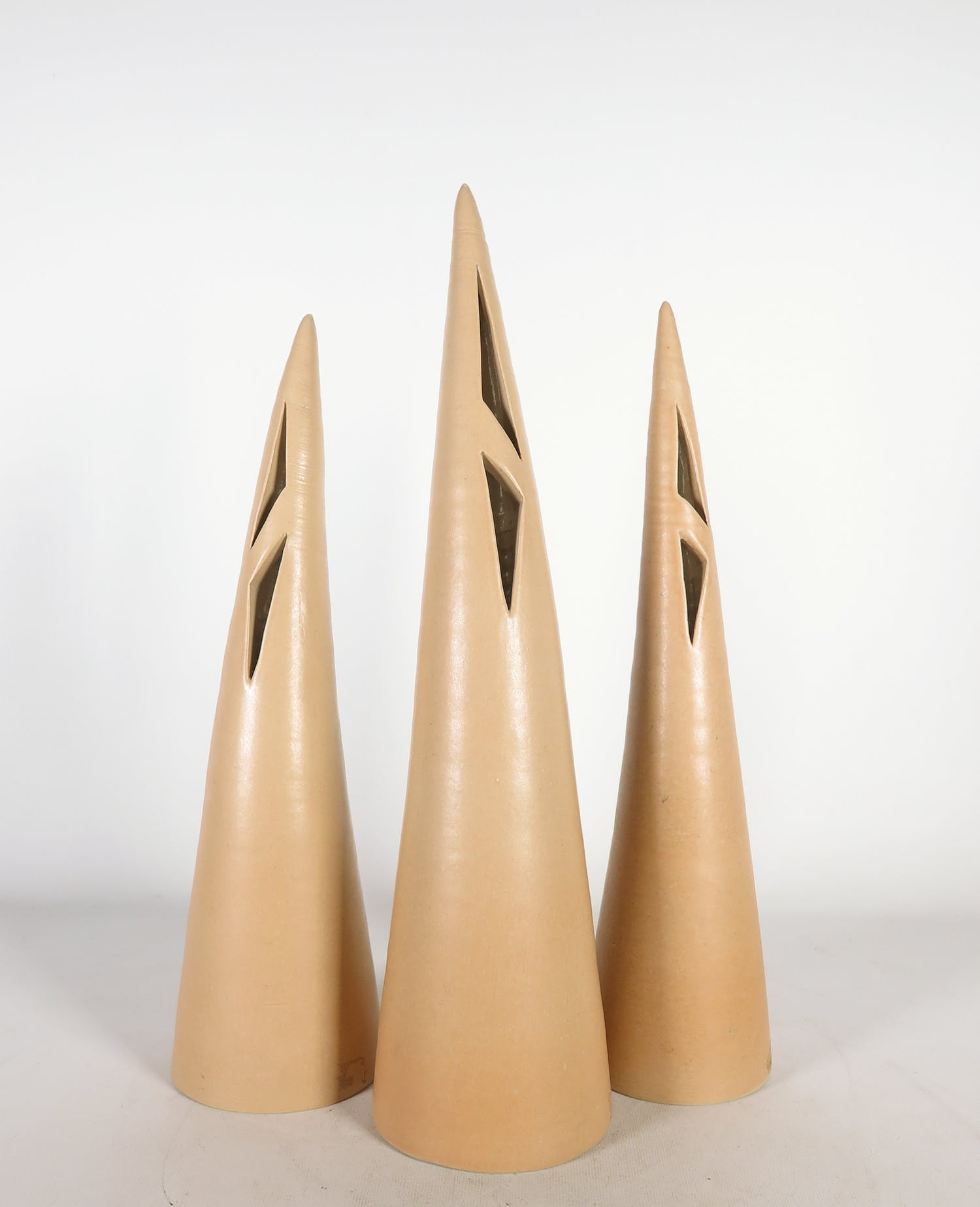 Tineke Meinema (1943)