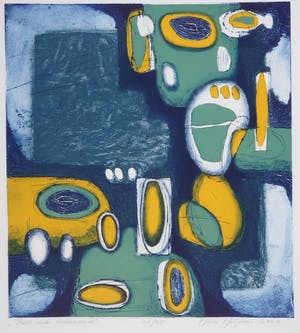 Hans Heijman - Kleurenets, Reis in de binnenwereld kopen? Bied vanaf 1!