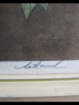 Niet of onleesbaar gesigneerd - Magnolia's kopen? Bied vanaf 10!