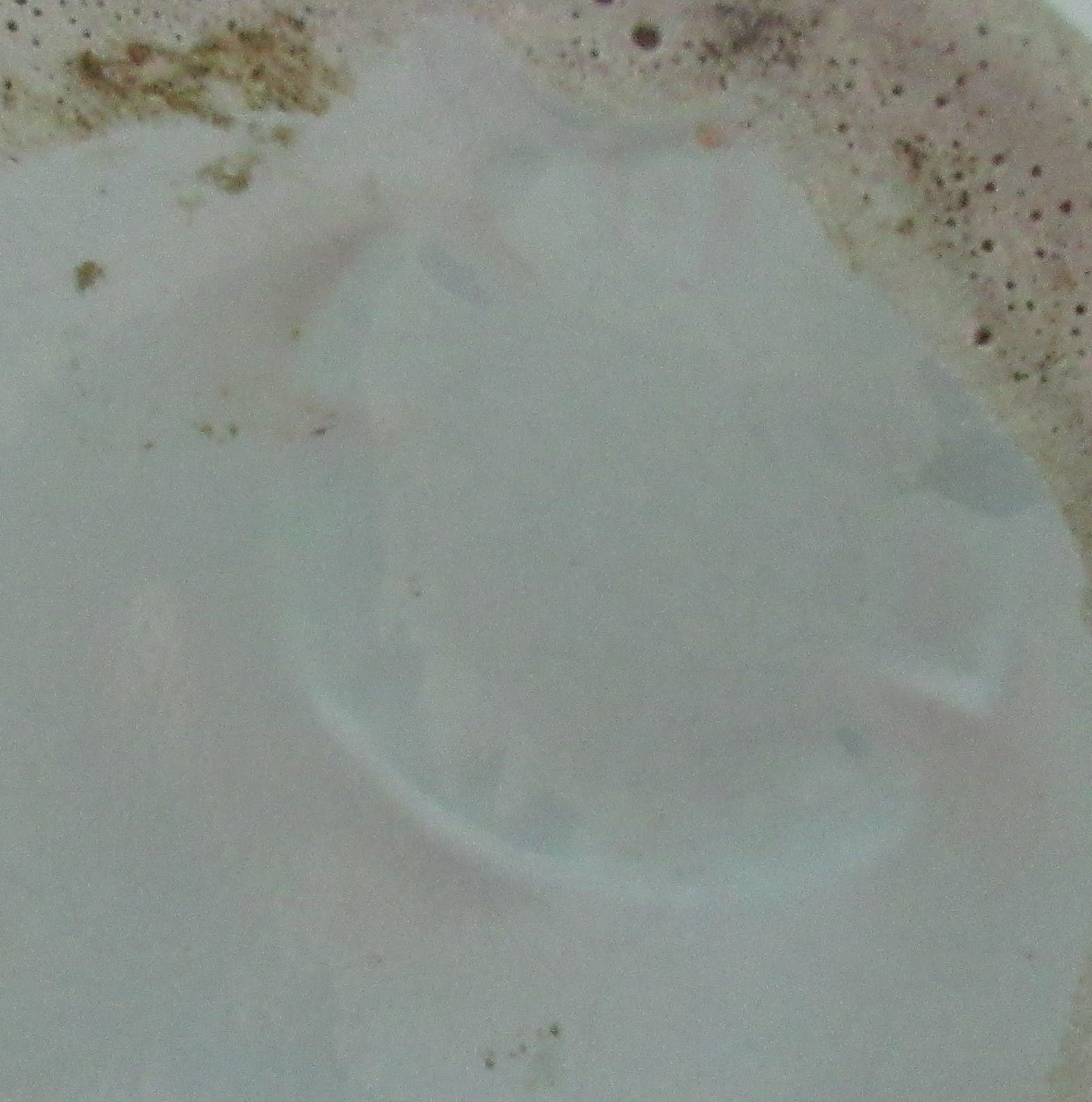 Pieter Groeneveldt - Turqoise vaas met groen stroomglazuur kopen? Bied vanaf 48!