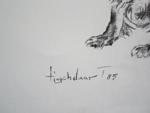 Andre Tigchelaar - Spaniels kopen? Bied vanaf 20!