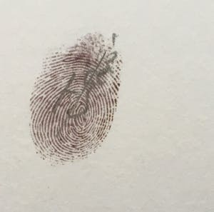 Henk de Bouter - Kruisdraak - gesign. zeefdruk kopen? Bied vanaf 59!