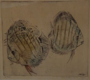 Nel Waller Zeper - Discusvissen met jongen, 4e druk, 1971 - gekleurde ets op papier - BKR Amsterdam kopen? Bied vanaf 20!