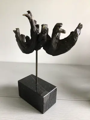 Bernadette Leijdekkers - “ Wilde Zwanen “ kopen? Bied vanaf 99!