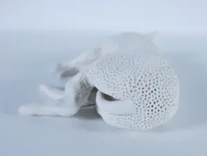 Kathja Smits - Porselein, Hond liggend kopen? Bied vanaf 125!