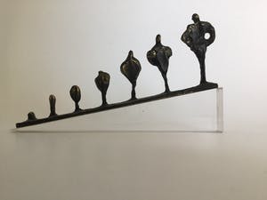 Brons (Onbekend) - Groei kopen? Bied vanaf 10!