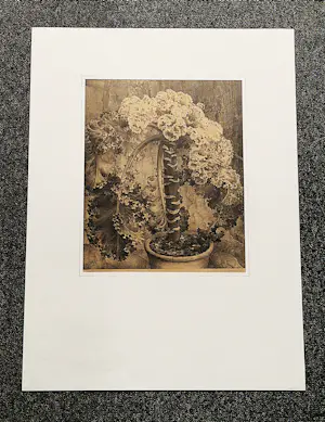 Jan Voerman (jr.) - Grote lithografie - 1925 - "bloeiende potplant" - beperkte oplage (100) kopen? Bied vanaf 38!