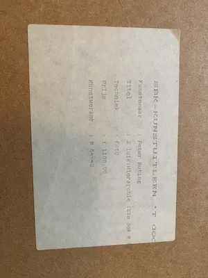 Peter Ruting - 2 Luik:Hierarchie kopen? Bied vanaf 1!