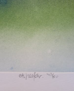 Ries Kleijnen - De molenberg 3, ets/zeefdruk kopen? Bied vanaf 35!