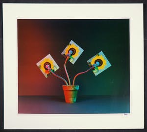 Jean Ruiter - Sunflowers kopen? Bied vanaf 1!