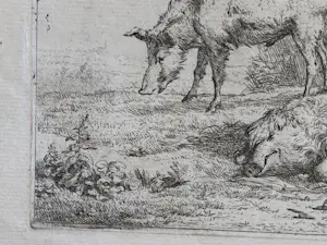 Karel Dujardin - Drie zwijnen (en nog twee etsen Berchem) kopen? Bied vanaf 30!