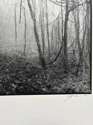 Ralph Janowski - Zonder titel kopen? Bied vanaf 28!