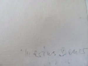 Marius Bauer - Skutari Moskee kopen? Bied vanaf 50!