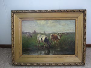 Fedor van Kregten - Koeien in de weide kopen? Bied vanaf 650!