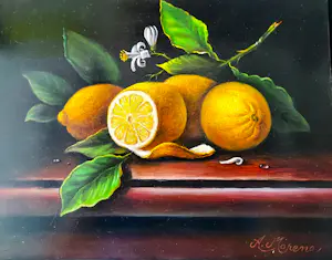 Buy Alfonso Moreno - Citroenen? Bid from 145!
