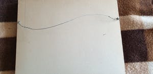 Jan van Bloppoel - Roeibootje met kippetjes op de achtergrond kopen? Bied vanaf 200!