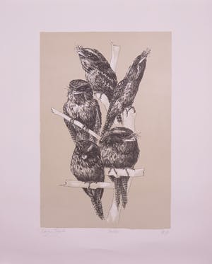 Peter Vos - Litho, Podargus Strigoides kopen? Bied vanaf 1!