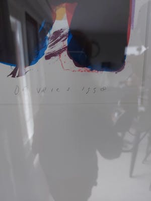 Paul de Vries - Roos kealakekua kopen? Bied vanaf 200!