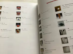 Mieke Groot - Behind Glass - boekwerk kopen? Bied vanaf 35!