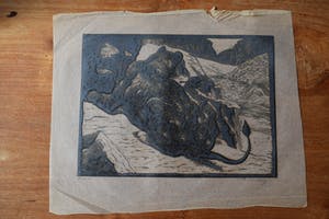 Antonius Hubertus Nordberg - Houtsnede - Leeuw kopen? Bied vanaf 60!