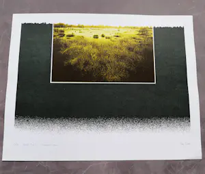 Piet Fioole - Fraaie, in 1974 gemaakte kleuren zeefdruk "Groote Peel I" - bep. oplage (75) kopen? Bied vanaf 45!