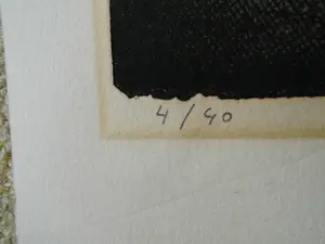 Jose Calsina - Grafiek - Bloemstilleven kopen? Bied vanaf 20!